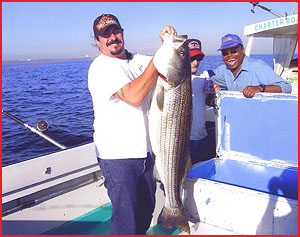 50 inch Rock Fish courtesy of Bunky's Charter Boats