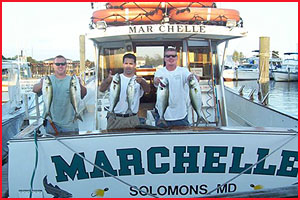 Rock Fish caught on Charter Boat